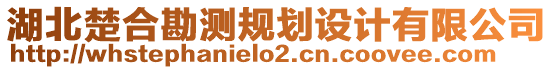 湖北楚合勘測(cè)規(guī)劃設(shè)計(jì)有限公司