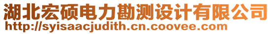 湖北宏碩電力勘測設(shè)計有限公司