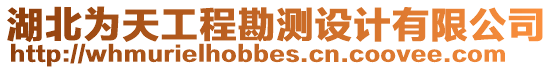 湖北為天工程勘測(cè)設(shè)計(jì)有限公司