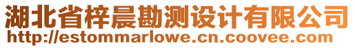 湖北省梓晨勘測設(shè)計(jì)有限公司