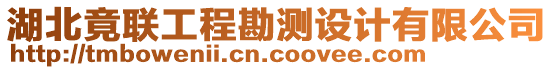 湖北竟聯(lián)工程勘測設(shè)計(jì)有限公司