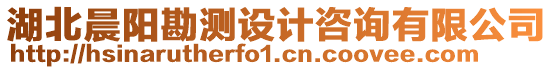 湖北晨陽勘測設(shè)計咨詢有限公司