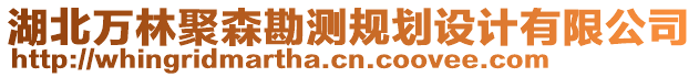 湖北萬林聚森勘測規(guī)劃設(shè)計(jì)有限公司