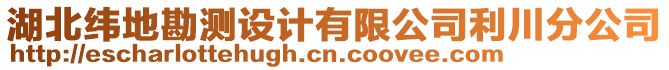 湖北緯地勘測(cè)設(shè)計(jì)有限公司利川分公司