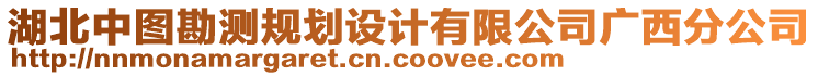 湖北中圖勘測(cè)規(guī)劃設(shè)計(jì)有限公司廣西分公司