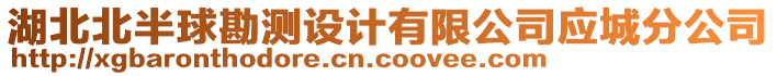 湖北北半球勘測(cè)設(shè)計(jì)有限公司應(yīng)城分公司