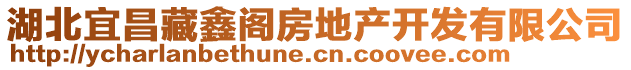 湖北宜昌藏鑫閣房地產(chǎn)開(kāi)發(fā)有限公司