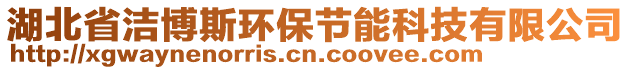 湖北省潔博斯環(huán)保節(jié)能科技有限公司