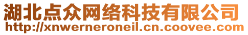 湖北點眾網(wǎng)絡(luò)科技有限公司