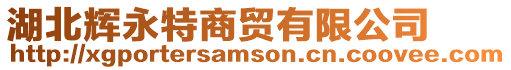 湖北輝永特商貿(mào)有限公司