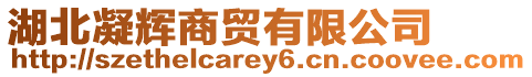 湖北凝輝商貿(mào)有限公司