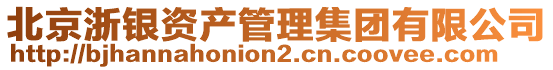 北京浙银资产管理集团有限公司