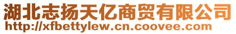 湖北志揚(yáng)天億商貿(mào)有限公司
