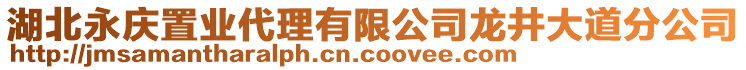 湖北永慶置業(yè)代理有限公司龍井大道分公司