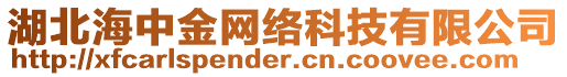 湖北海中金网络科技有限公司