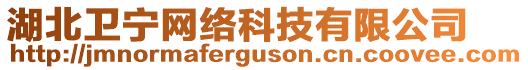 湖北衛(wèi)寧網(wǎng)絡(luò)科技有限公司