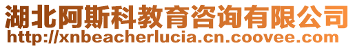 湖北阿斯科教育咨询有限公司