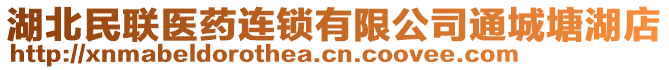 湖北民聯(lián)醫(yī)藥連鎖有限公司通城塘湖店