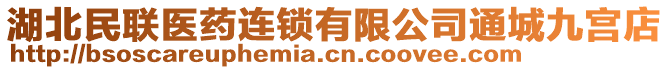 湖北民聯(lián)醫(yī)藥連鎖有限公司通城九宮店