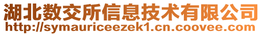 湖北數(shù)交所信息技術(shù)有限公司