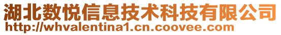 湖北数悦信息技术科技有限公司