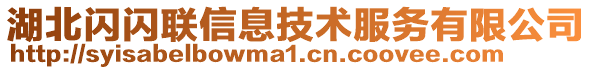 湖北闪闪联信息技术服务有限公司