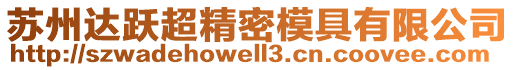 蘇州達躍超精密模具有限公司