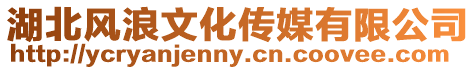 湖北風浪文化傳媒有限公司