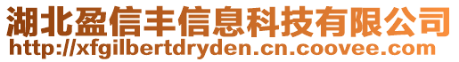 湖北盈信豐信息科技有限公司