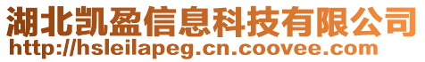 湖北凱盈信息科技有限公司