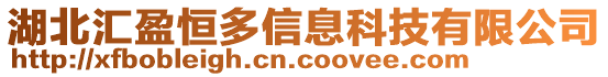 湖北匯盈恒多信息科技有限公司