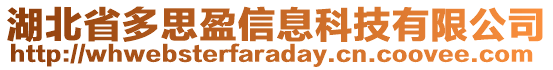 湖北省多思盈信息科技有限公司