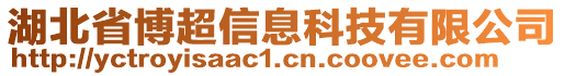 湖北省博超信息科技有限公司