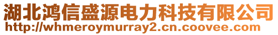 湖北鴻信盛源電力科技有限公司