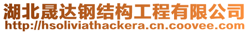 湖北晟達鋼結構工程有限公司