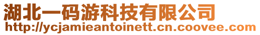 湖北一碼游科技有限公司