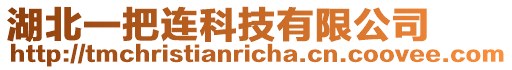 湖北一把連科技有限公司