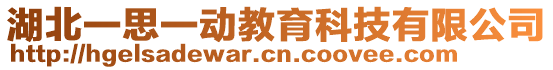 湖北一思一動教育科技有限公司