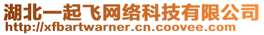 湖北一起飛網(wǎng)絡(luò)科技有限公司