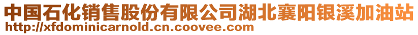 中國石化銷售股份有限公司湖北襄陽銀溪加油站