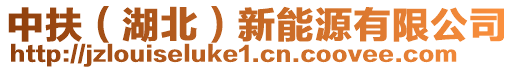 中扶(湖北)新能源有限公司