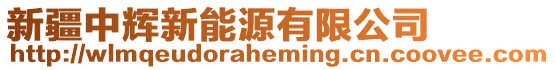新疆中輝新能源有限公司