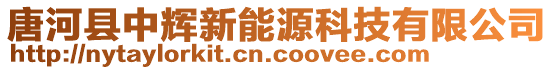 唐河縣中輝新能源科技有限公司