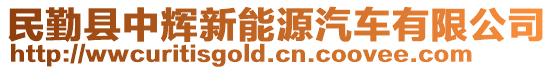 民勤縣中輝新能源汽車有限公司