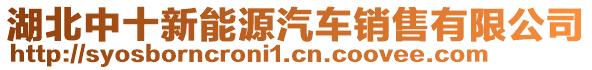 湖北中十新能源汽車銷售有限公司