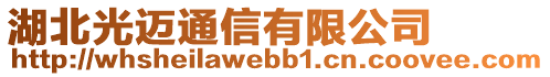 湖北光邁通信有限公司