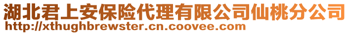 湖北君上安保險代理有限公司仙桃分公司