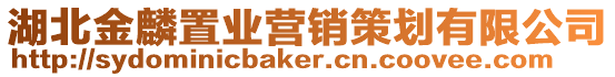 湖北金麟置業營銷策劃有限公司