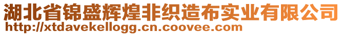 湖北省錦盛輝煌非織造布實業(yè)有限公司