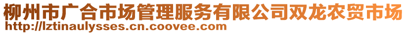 柳州市廣合市場管理服務(wù)有限公司雙龍農(nóng)貿(mào)市場